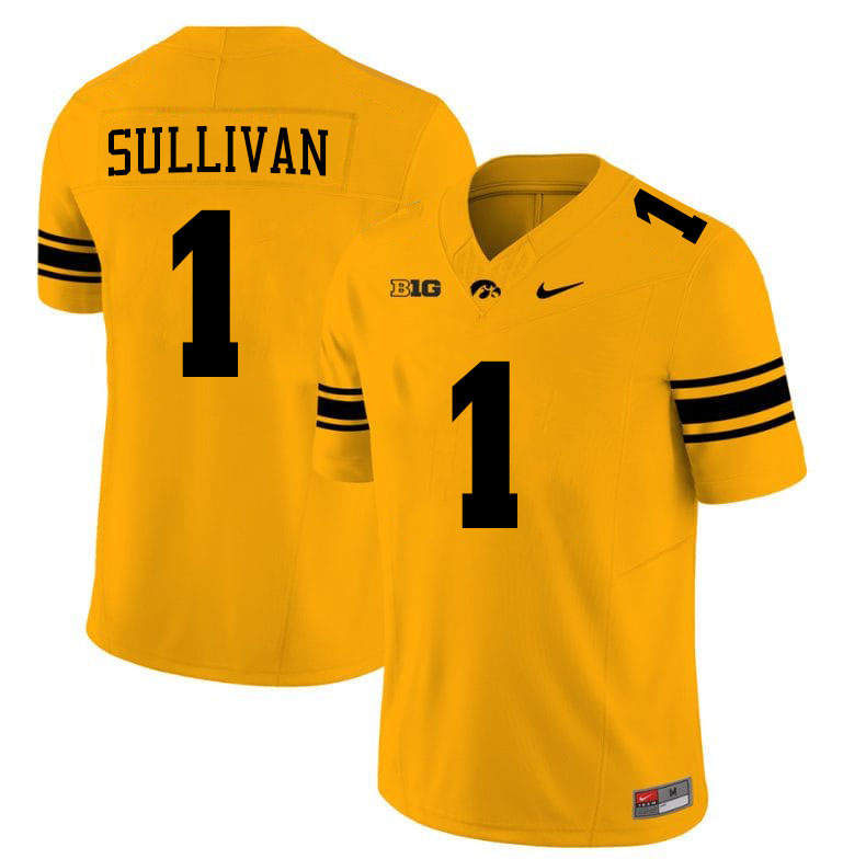 Brendan Sullivan Iowa Jersey,University Of Iowa Hawkeyes Fotoball Uniforms,Jersey,Gears-Gold